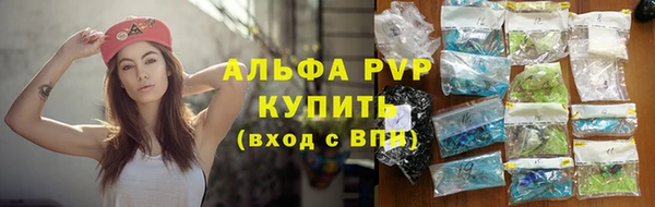 не бодяженный Иннополис