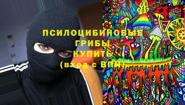не бодяженный Иннополис
