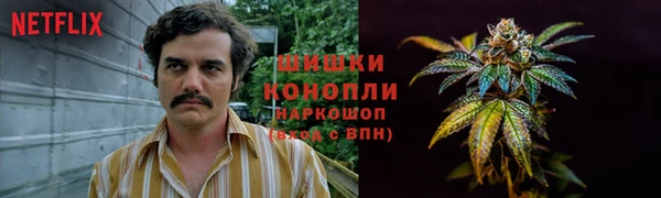 не бодяженный Иннополис