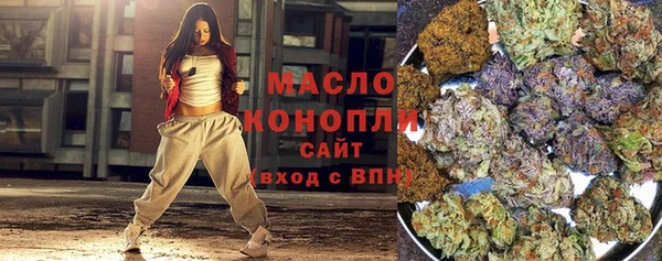 Альфа ПВП Инсар