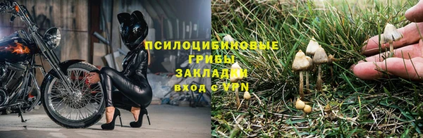 тгк Инта