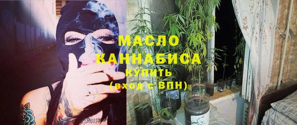 Альфа ПВП Инсар