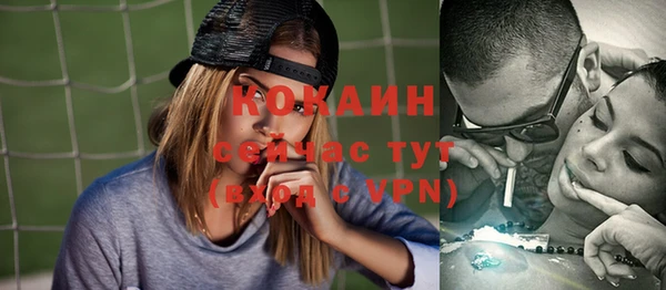 Альфа ПВП Инсар