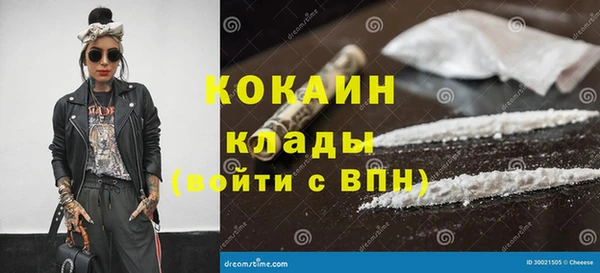 Альфа ПВП Инсар