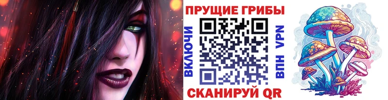 Купить где  Вилюйск  Псилоцибиновые грибы Magic Shrooms 